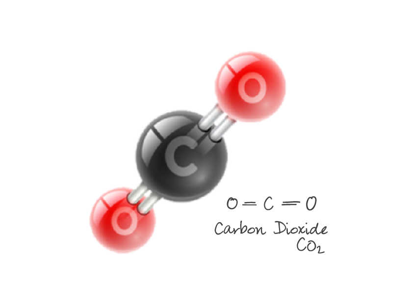 co2.jpg
